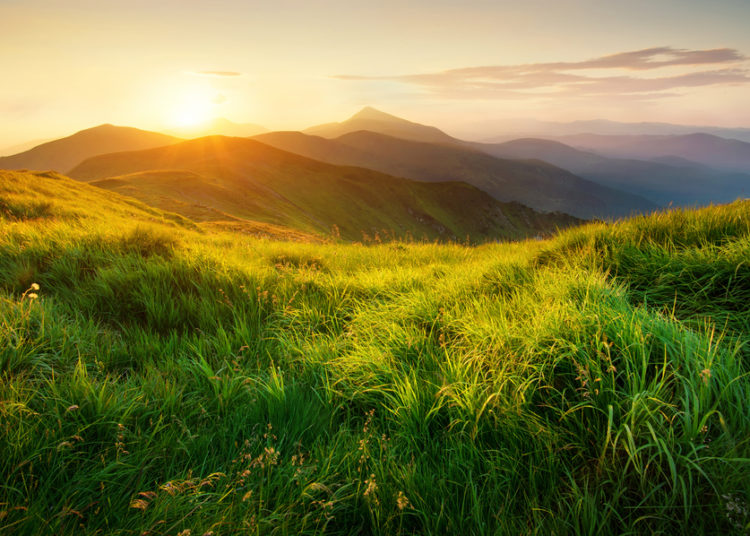 A beautiful story about nature with a moral to remember