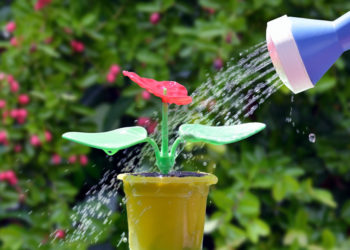 The tragic story of a woman who watered a fake plant for two years