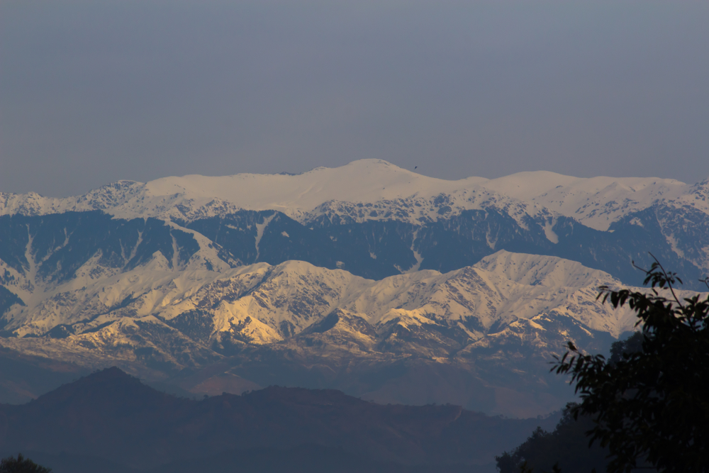 Can the environmental impact of the coronavirus be sustained?